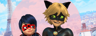 Cuanto sabes de Lady Bug