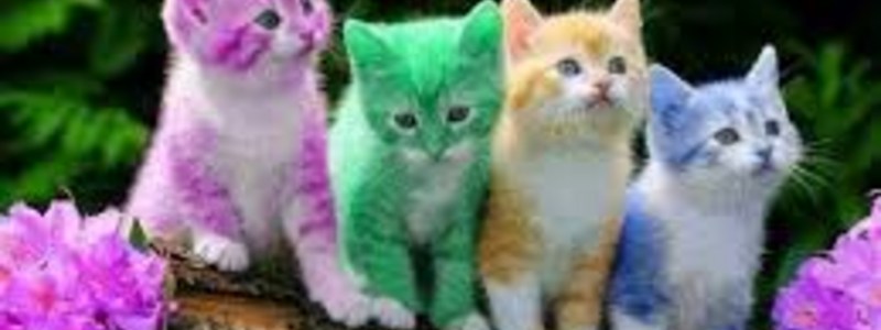 que color eres