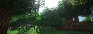 Preguntas y respuestas: &iquest;Eres un pro del Minecraft?