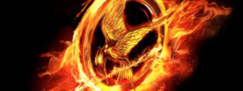 cual personaje de los juegos del hambre eres