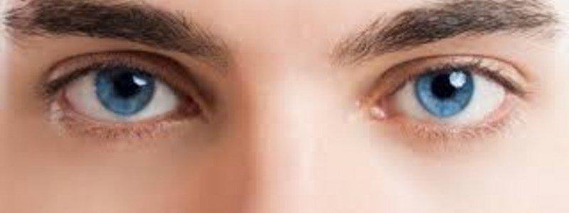 de que color seran tus ojos