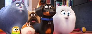 Que Personaje De Una Vida Secreta De Tus Mascotas Eres 