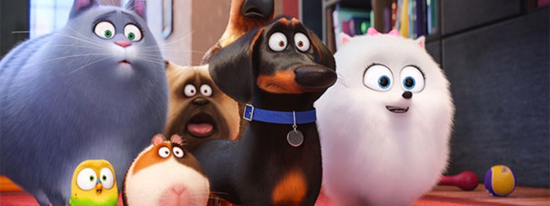 Que Personaje De Una Vida Secreta De Tus Mascotas Eres 