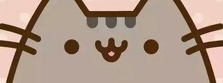 Conociendo a Pusheen
