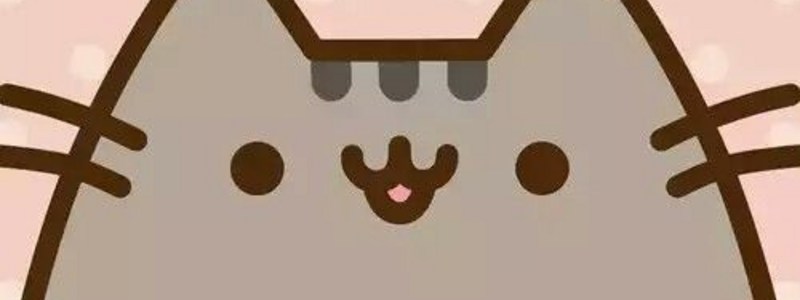 Conociendo a Pusheen