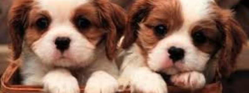 &iquest;que tipo de amig@ eres?