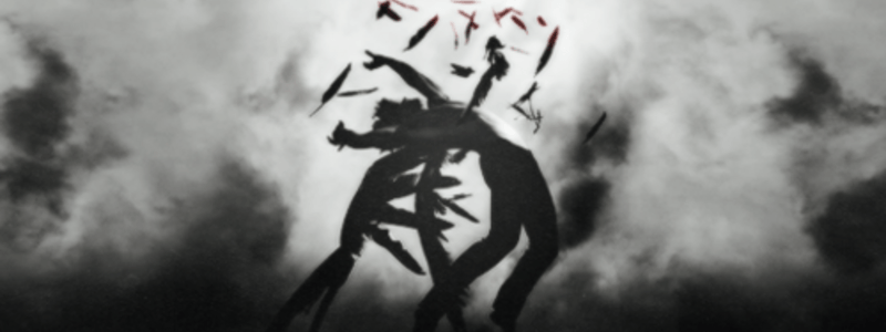 ¿Cuánto sabes de la saga hush hush?