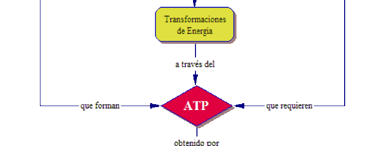 ciencias naturales