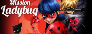 que sabes sobre ladybug y cat noir