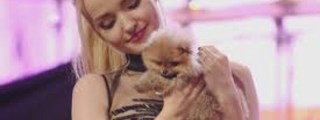cuanto sabes de dove cameron