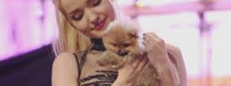 cuanto sabes de dove cameron