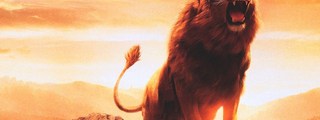 ¿cuanto saves de la vida escondida del rey leon?