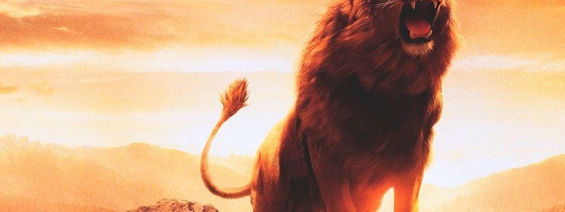 ¿cuanto saves de la vida escondida del rey leon?