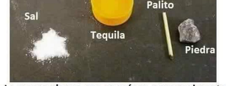 Test Del Mega Idiota