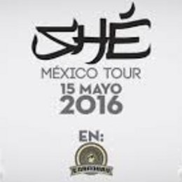 &iquest;Remake que quiero hacer de Sh&eacute;? - Test for my family