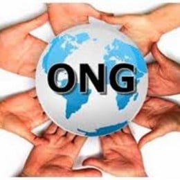 &iquest;Colaborar&iacute;a con alguna ONG? - Test for my family 3