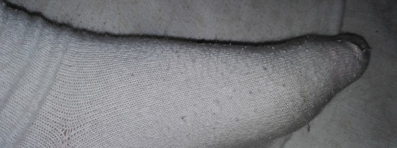 &iquest;Cuanto conoces a mi pata?