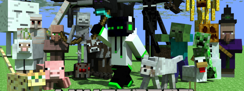 Que fan eres de endercraft66