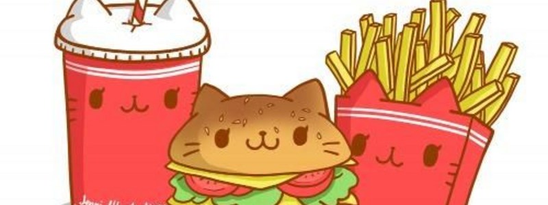 Que comida chatarra eres