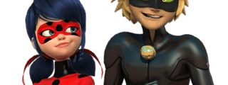 Test de ladybug 