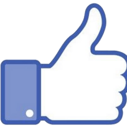 te gusto el tes - cuanto sabes fhafhs hs