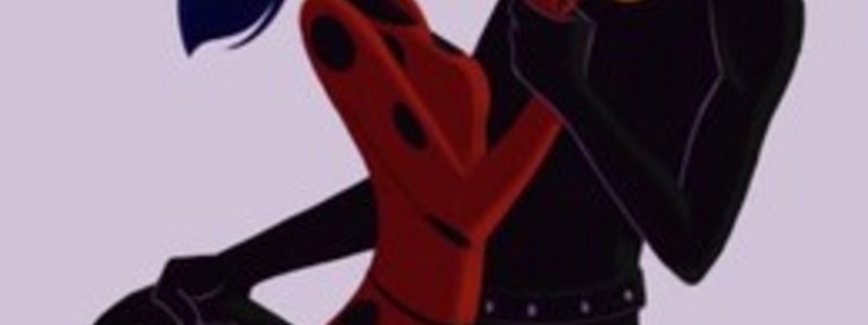 ¿Eres Ladybug o Cat Noir?.