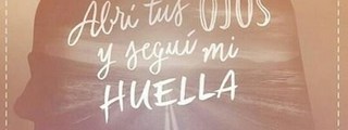 que chica eres de soy luna