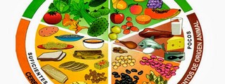 PLATO DEL BIEN COMER E HIDRATACION