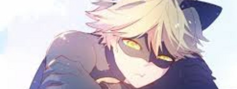 Cuanto sabes sobre miraulous ladybug