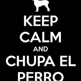 Cual es la fobia mas grande de German? - Que tan bien conoces a German Garmendia