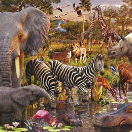  &iquest;Cu&aacute;l de estos es el animal terrestre m&aacute;s veloz del mundo? - &iquest;Cu&aacute;nto sabes sobre los animales?