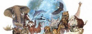 que tanto sabes de animales