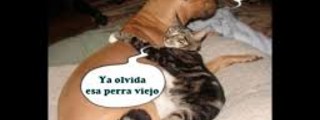 ERES AMARGADO  O ALEGRE 