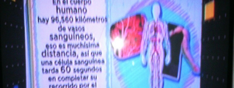 ¿Eres inteligente?