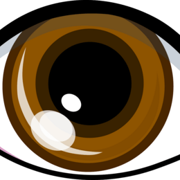 Relaciona el dibujo con la palabra - Lengua y literatura