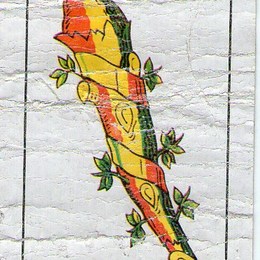 Relaciona el dibujo con la palabra  - Lengua y literatura