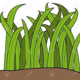 Relaciona el dibujo con la palabra  - Lengua y literatura