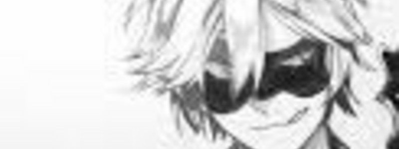 cuanto sabes de chat noir