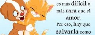 princesa cenicienta