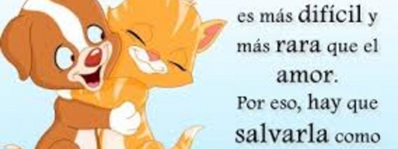 princesa cenicienta