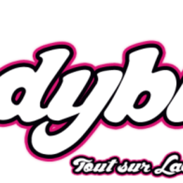 el ladyblog es real  - lo sabes todooooooooo sobre miraculous?? (aunque te caiga mal?