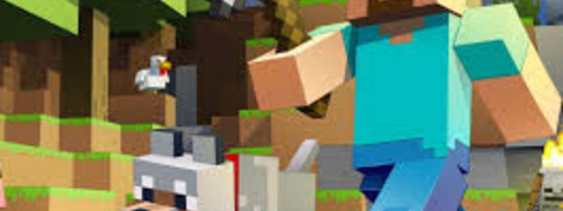 cuanto sabes de minecraft