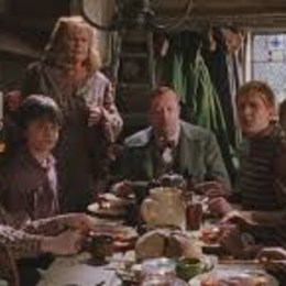 &iquest;Qui&eacute;n es Errol? - Harry Potter y la C&aacute;mara Secreta: La Madriguera