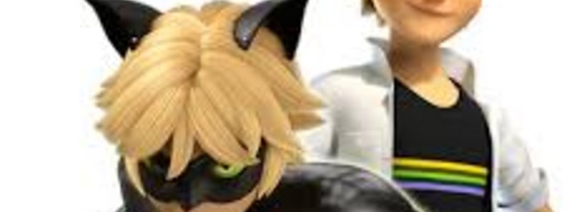 chat noir 