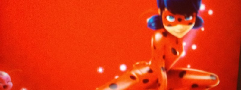 Cuanto sabes sobre ladybug? 