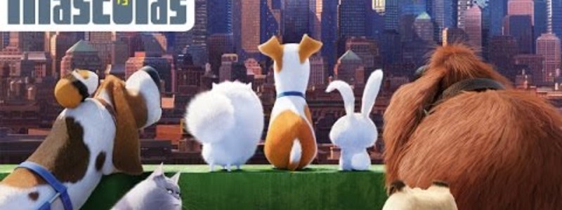 Quien ere de mascotas 