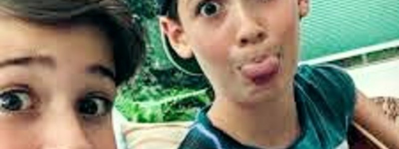 How much do you know about Max and Harvey