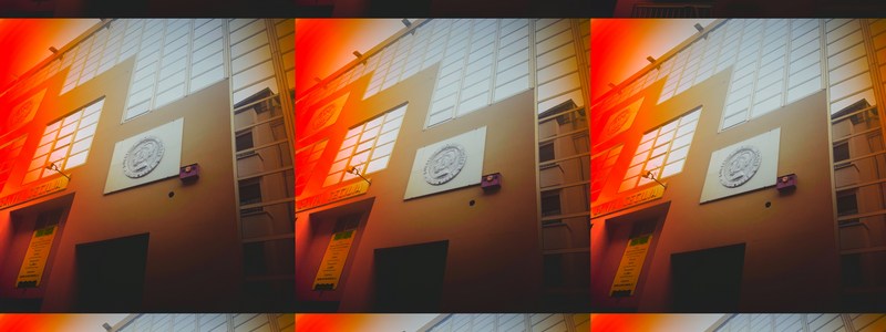 quanto sabes de bonie