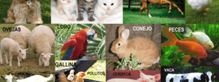 ¿que animal eres?