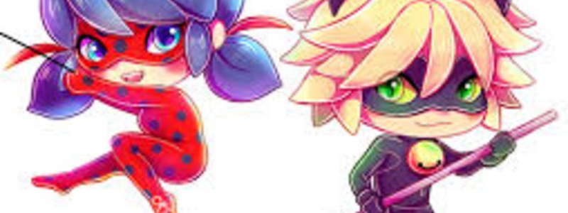 ¿Cuantos conoces sobre Ladybug y Cat Noir? (Chat Noir) 